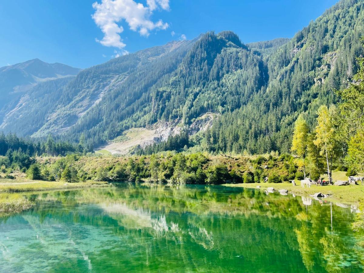 Apartment Weitblick Wald im Pinzgau Exteriör bild